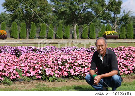 花畑 シニア男性 花畑 シニア男性 43405388