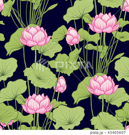 Seamless pattern, background with lotus flower. Botanical illust Seamless pattern, background with lotus flower. Botanical illust 43405607