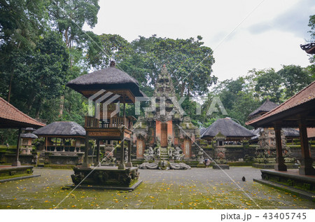 モンキーフォレスト内の寺 モンキーフォレスト内の寺 43405745