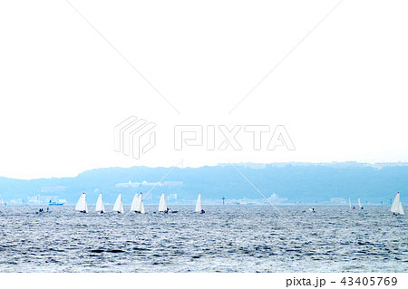 ヨット トレーニング ヨット トレーニング 43405769