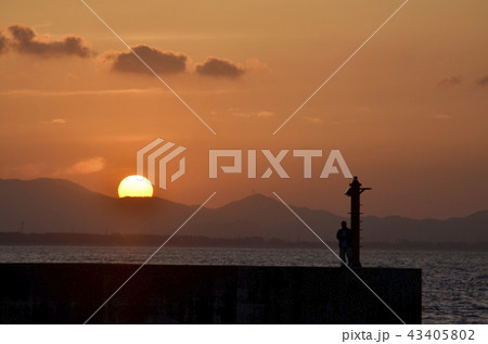 港の夕陽 43405802