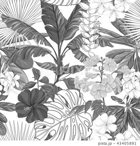 Vector seamless pattern, background with tropical plants 43405891