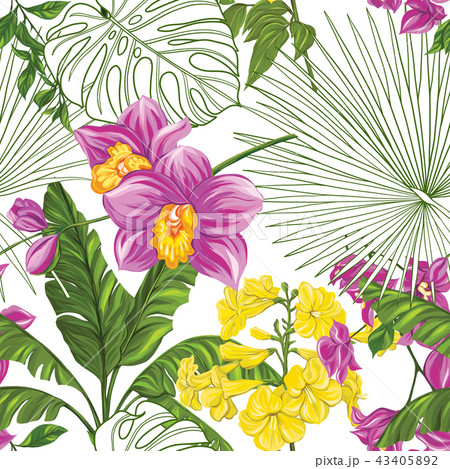 Seamless pattern, background with tropical plants: monstera,  strelitzia,  bougainvillea,  43405892
