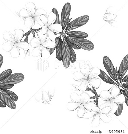 Seamless Pattern Background With White のイラスト素材