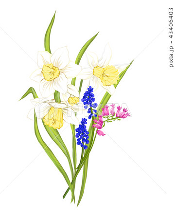 Bouquet of spring flowers. Colorful realistic vector illustration Bouquet of spring flowers. Colorful realistic vector illustration 43406403