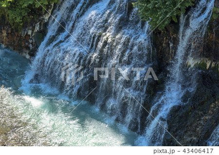 美瑛白金の白髭の滝 美瑛白金の白髭の滝 43406417