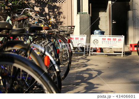 駐輪禁止 駐輪禁止 43406601