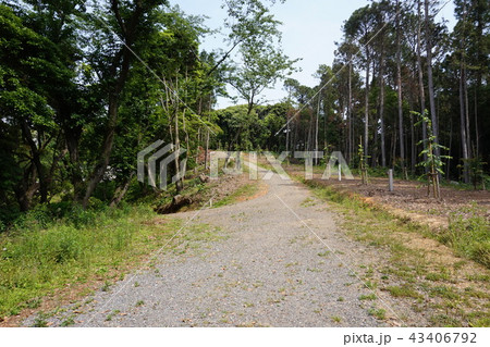 金比羅山　岡垣町 43406792