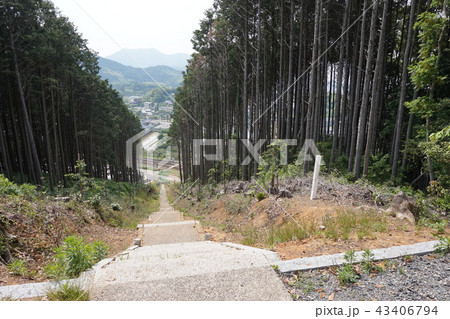 金比羅山　岡垣町 43406794