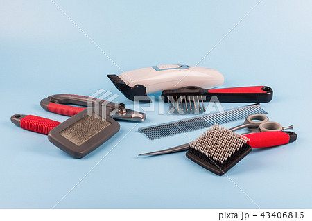 dog grooming tools and accessories set. 43406816