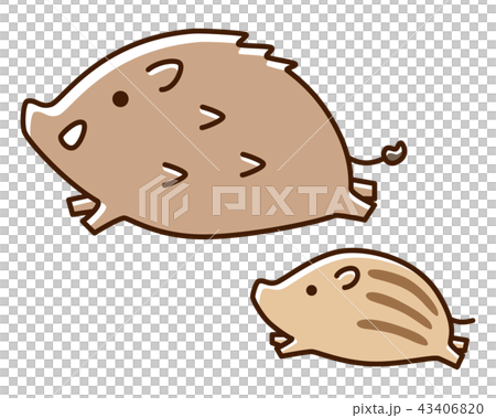 Wild boar and child 43406820