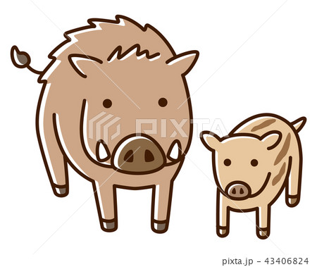 イノシシ　親子 43406824