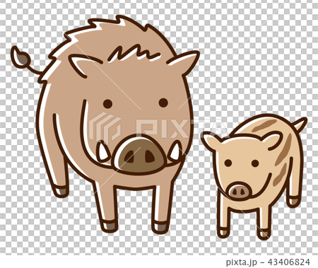 イノシシ　親子 43406824