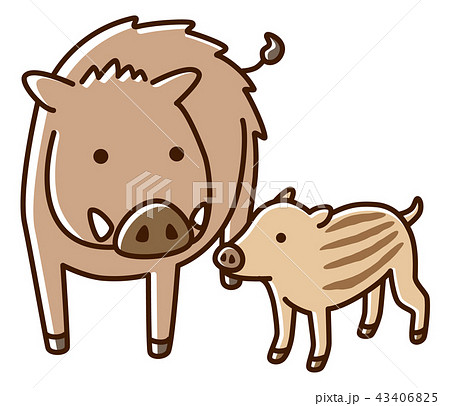 イノシシ　親子 43406825