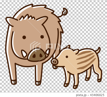 イノシシ　親子 43406825