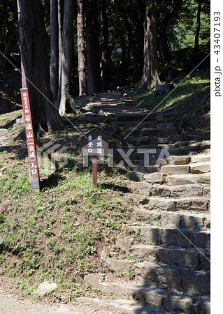 石垣山一夜城 石垣山一夜城 43407193