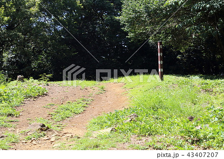 石垣山一夜城 43407207