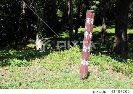 石垣山一夜城 43407209