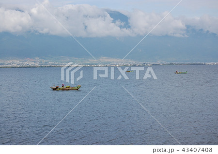 洱海で魚捕り 43407408