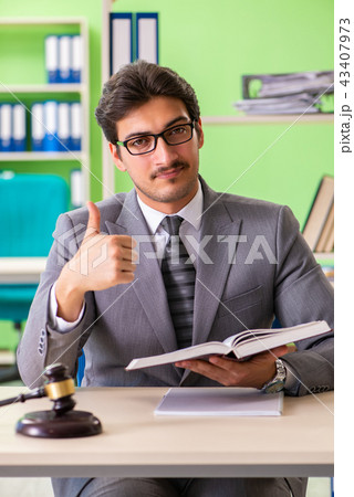 Young handsome lawyer working in the office  43407973
