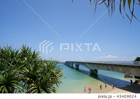 沖縄の青い海(古宇利島) 南国の海辺で佇む夫婦 沖縄の青い海(古宇利島) 南国の海辺で佇む夫婦 43409024