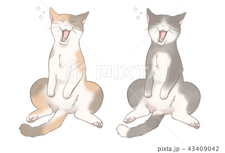 ねこのあくび ねこのあくび 43409042