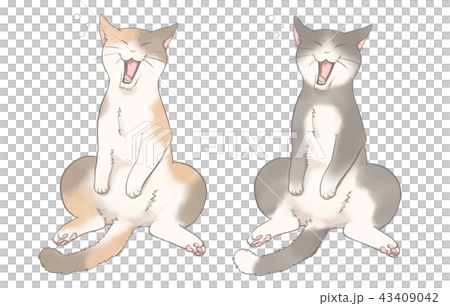 ねこのあくび ねこのあくび 43409042