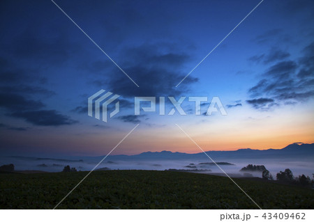 千望峠　夜明け 43409462