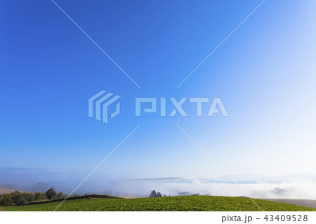 千望峠　夜明け 43409528