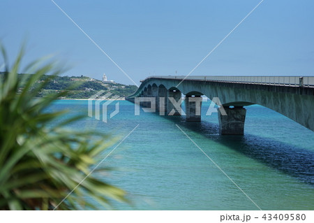 沖縄の青い海（古宇利島） 南国の海辺で佇む夫婦 43409580