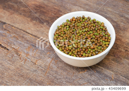 mung bean in white bowl on wooden background mung bean in white bowl on wooden background 43409699