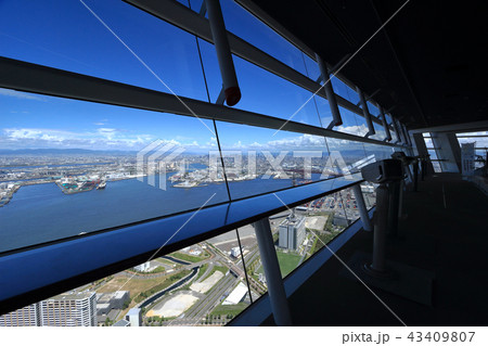 大阪府咲洲庁舎展望台 大阪府咲洲庁舎展望台 43409807