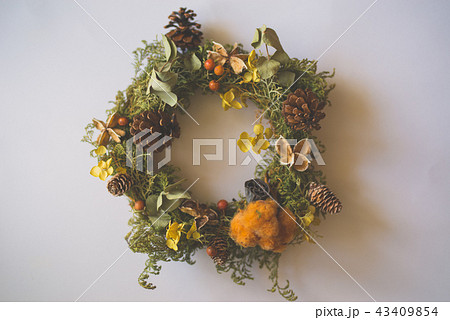 リース リース 43409854