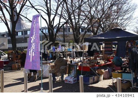 大江戸骨董市（代々木公園ケヤキ並木）にて 43410941