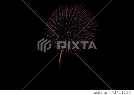 花火 43411219