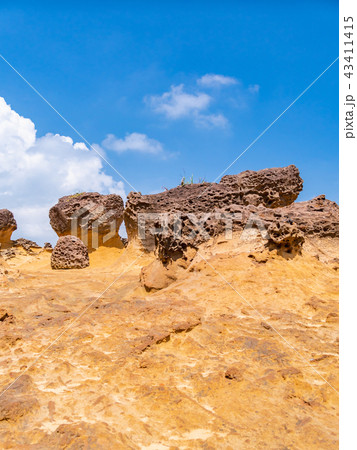 台湾 野柳地質公園 43411415