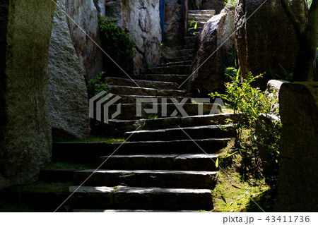 階段 43411736