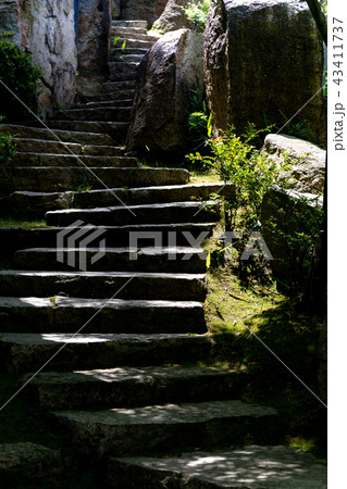 階段 43411737