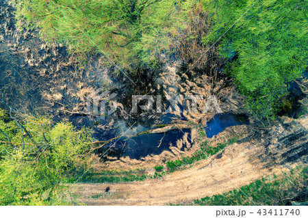 Aerial view of the country road and pond 43411740