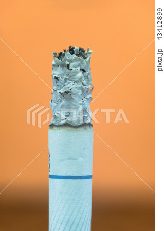 cigarette macro view 43412899