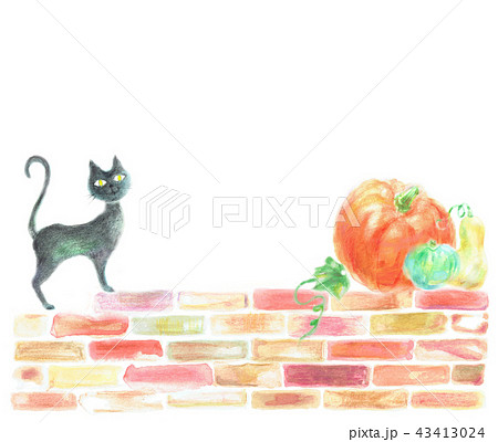 猫 秋 南瓜 レンガのイラスト素材 [43413024] - PIXTA
