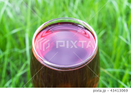 Glass of wine on a grass background, close up . 43413069