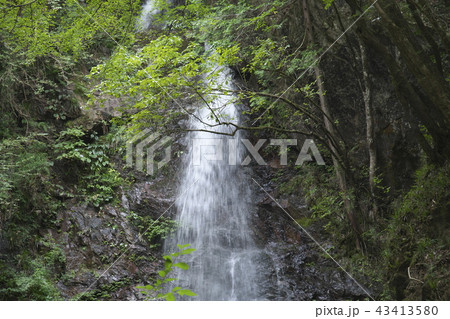 払沢の滝　夏 43413580