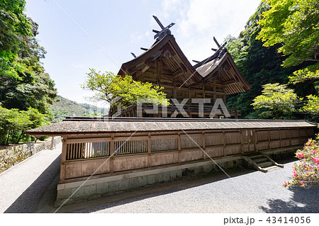 美保神社 -本殿- えびす様の総本宮 43414056