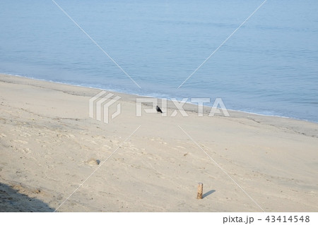 唐津の海 43414548
