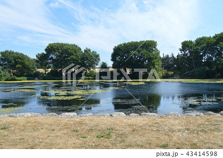 Denmark, Pond of Soebygaard in Aeroe 43414598
