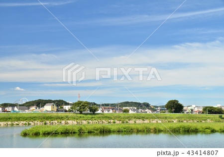 多摩川児童公園から多摩川緑地方面を望むの写真素材