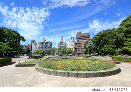 長居公園(大阪市東住吉区) 43415275