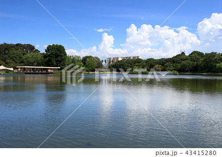 大阪市立長居植物園 43415280