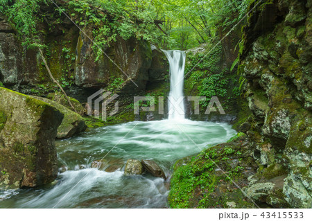 栃木県矢板市　おしらじの滝（7月）　水多め 43415533